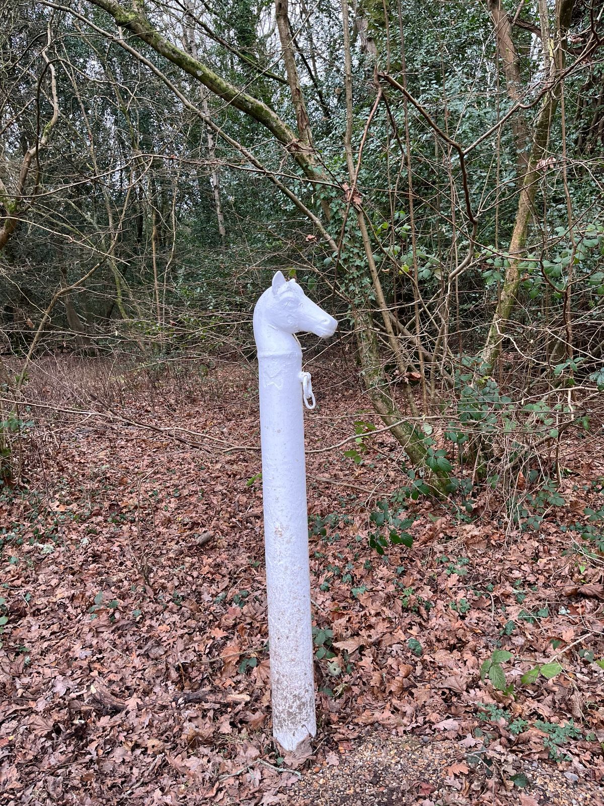 Marker on Holmwood Common